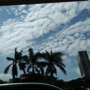 alviani hasanah profile icon