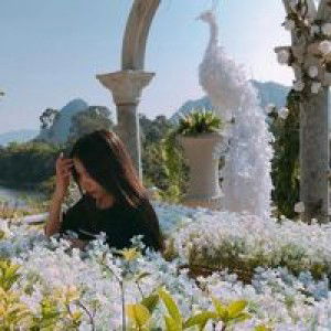 Petch GD profile icon