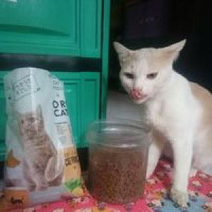 Yan Paska profile icon