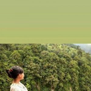 Rindang Besti P profile icon