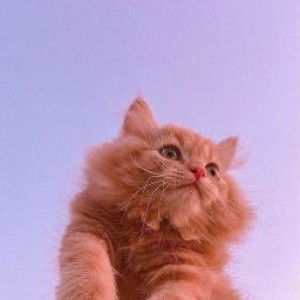 Ijhu Irawan profile icon