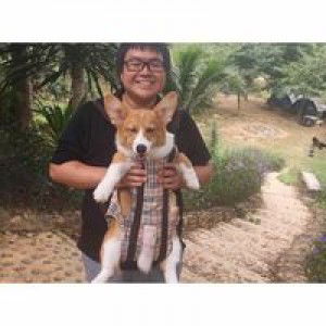 Ekkaporn Lostapornpipit profile icon