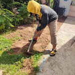 Thanyapon Wibulkul profile icon