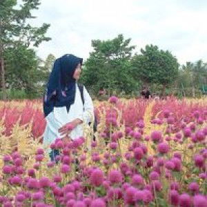 Sri Ayu Hartinah profile icon