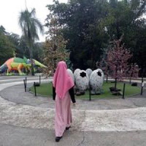 Pipih Nurhayatii profile icon