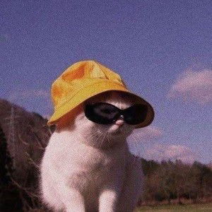 putri salbiah profile icon