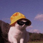 putri salbiah profile icon