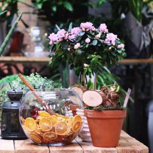 Aphinya Ruttongjan profile icon