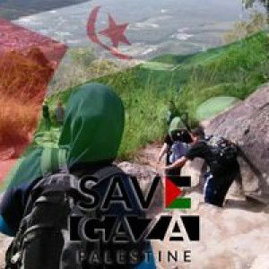 Fatimah Arsad profile icon