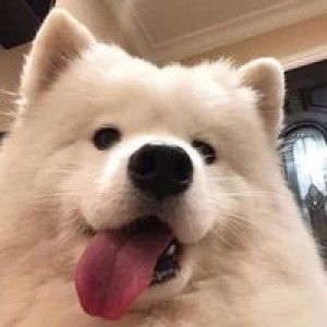 เตย' น้าา profile icon