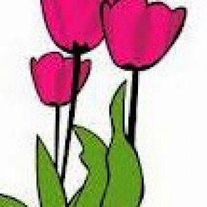 N Khatimah profile icon