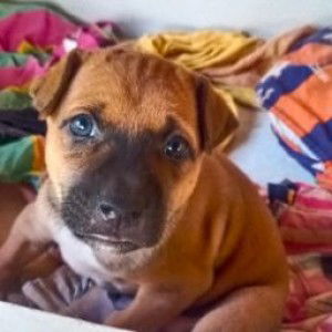 Kanjana Rueanjanta profile icon