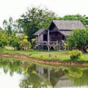 Nusayba Hazlin profile icon