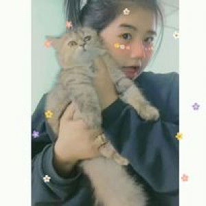 ป๊อป คอน profile icon