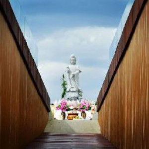 ดอกไม้ มีไฟ profile icon