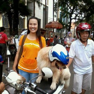 Stephanie Patricia profile icon