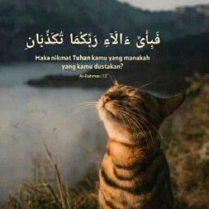 Muhibbatul Aulia profile icon