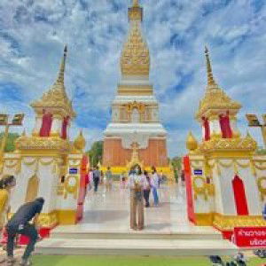 พัชรีภรณ์ profile icon