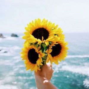 Penny Handayani profile icon