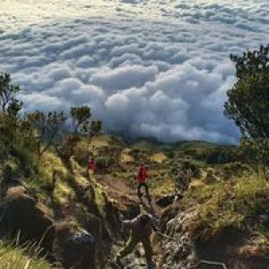 Khalifa Adinna profile icon