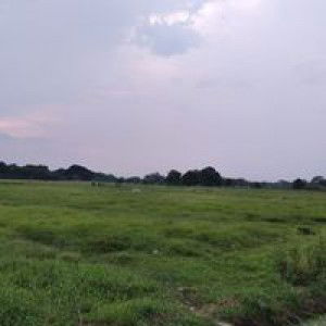 Med Klint profile icon