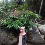 Aliah Zahidah profile icon