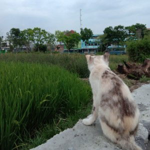 riska triya profile icon