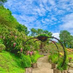 Ervina Apriani profile icon