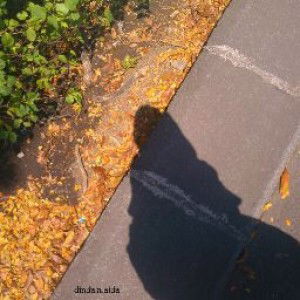 Dinda Nur Aida profile icon