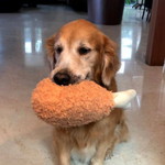 Emilia Button profile icon