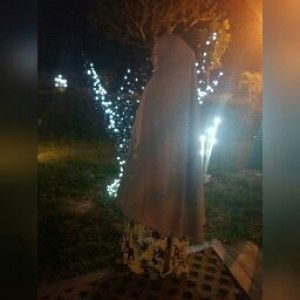 sari wulandari profile icon