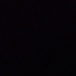 lia lia profile icon