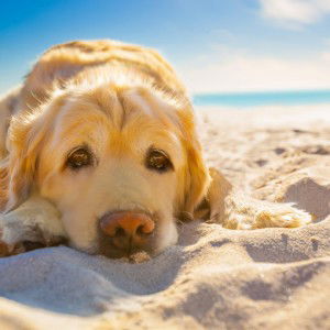 Kimberly Anne Babanto profile icon