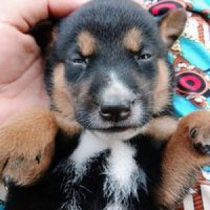 Jing Loayon Abne profile icon