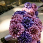 Eyza Aziz profile icon