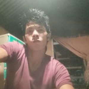 Vivian Bornales profile icon