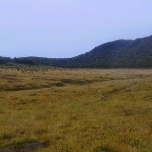 Rahma wita profile icon