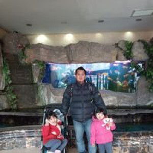 Anisa Aris profile icon