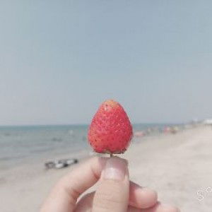 panumat niyomrat profile icon