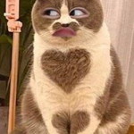 คา' มิโกะ. profile icon