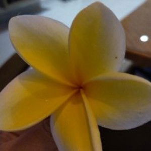 yazid riski pratama profile icon