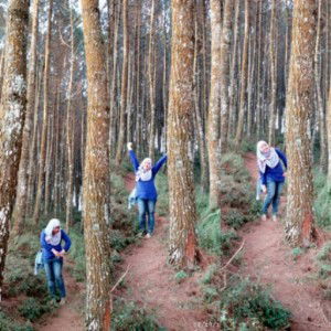 Fajar Fauziah profile icon