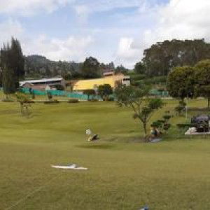 Anita Sayla Carol profile icon