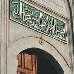 Ida Zubaida profile icon