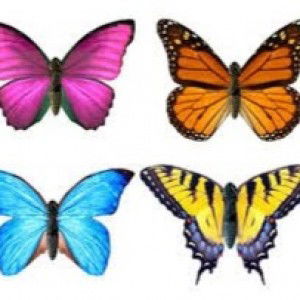 Hijri BioFun profile icon