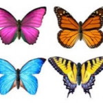 Hijri BioFun profile icon