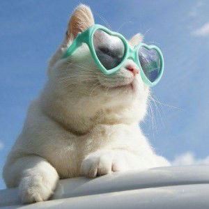 PONG PANG profile icon