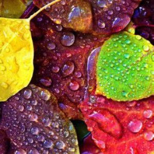 Just Me profile icon