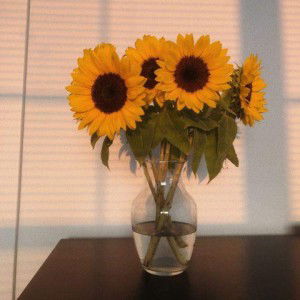 Koreng Pedida profile icon