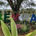 aMOMof2after13years❤ profile icon